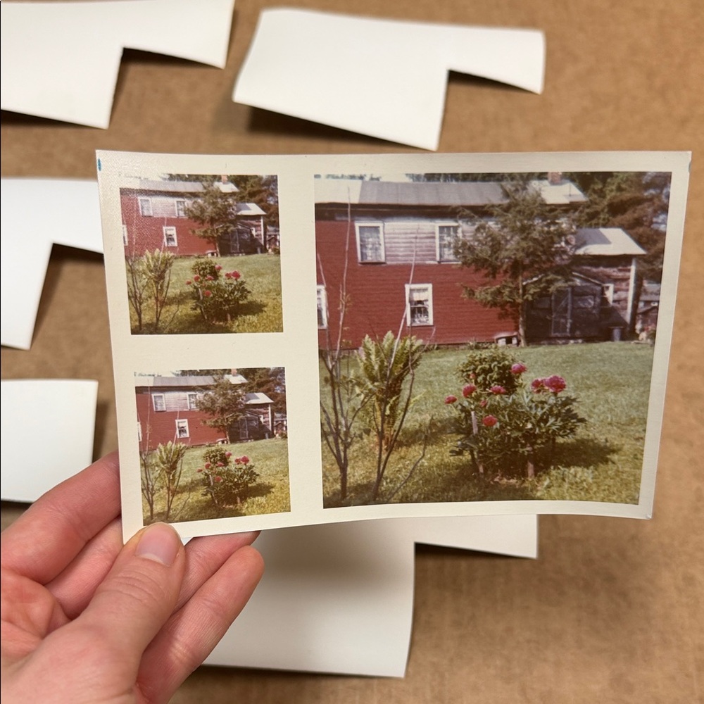 Vintage Photo Collection - Picture 9 of 11